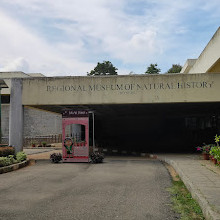 Regional Museum of Natural History Mysore