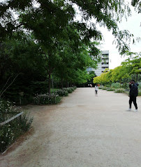 Skatepark