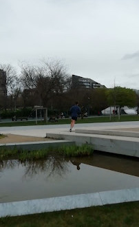 Parque de skate