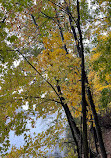 Seven Lakes State Park