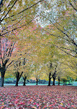 Seven Lakes State Park