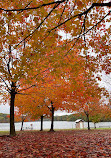 Seven Lakes State Park