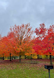 Seven Lakes State Park