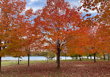 Seven Lakes State Park