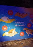 ورودی آکواریوم SEA LIFE لندن