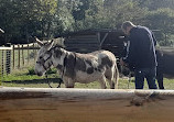 Mudchute Park and Farm