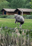 Serengeti Park Hodenhagen - "ماجراجویی سافاری در وسط اروپا"