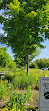 The Botanic Garden at Historic Barns Park