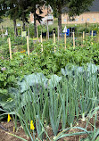 The Botanic Garden at Historic Barns Park