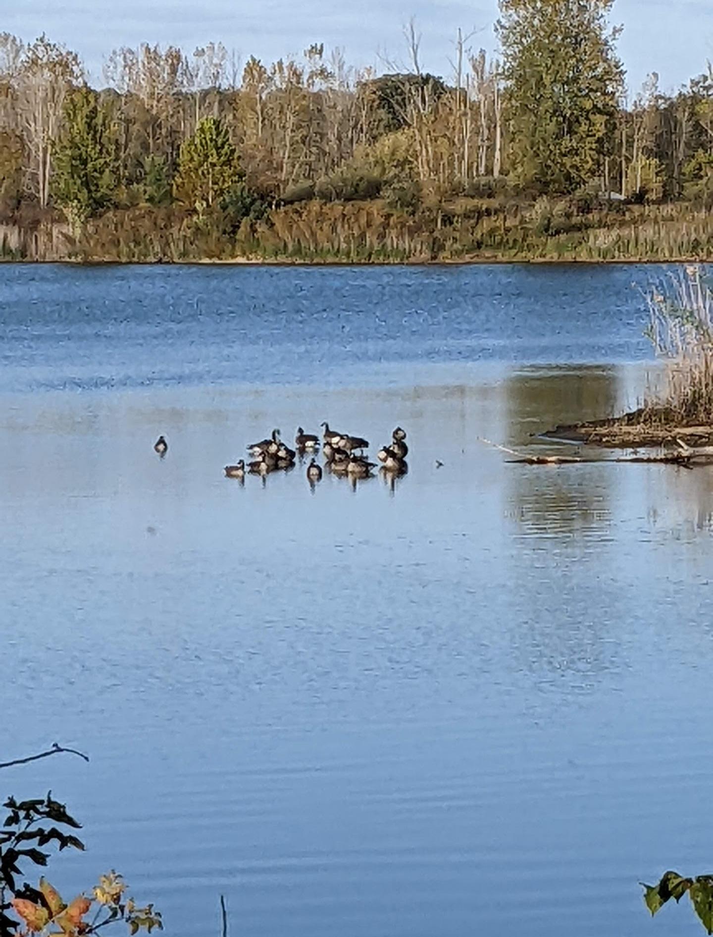 Killbuck Lakes