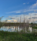 Killbuck Lakes