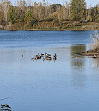 Killbuck Lakes