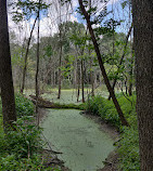 Killbuck Lakes