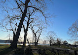 Croton Point Picnic Area 1