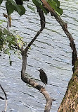 Radnor Lake State Park - East Parking Lot