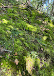 Radnor Lake State Park - East Parking Lot