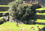 Machu Picchu Peru