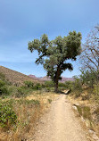 The Grand Canyon National Park Foundation