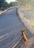 The Grand Canyon National Park Foundation