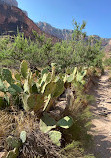 The Grand Canyon National Park Foundation