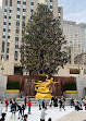 The Rink At Rockefeller Center