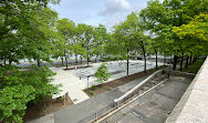 Andy Kessler Skate Park