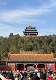 The Palace Museum