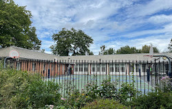 North Meadow Basketball Court