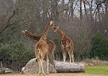 Parc de la Tête d'Or