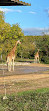 Parc de la Tête d'Or