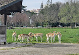 Parc de la Tête d'Or