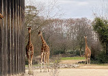 Parc de la Tête d'Or