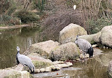 Parc de la Tête d'Or