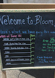 Bloom Waldessori Play Space