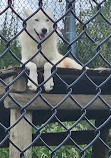 Jungle Cat World Wildlife Park