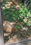 Jungle Cat World Wildlife Park