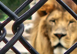 Jungle Cat World Wildlife Park