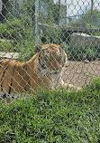 Jungle Cat World Wildlife Park