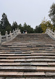 Summer Palace