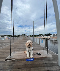 7th Street Park and Fountain at The Wharf