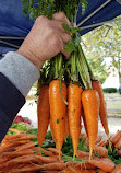 Forest Hills Greenmarket