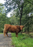 Nationaal Park Veluwezoom