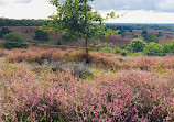 Nationaal Park Veluwezoom