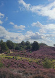 Nationaal Park Veluwezoom