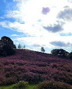 Nationaal Park Veluwezoom