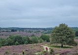 Nationaal Park Veluwezoom