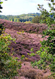 Nationaal Park Veluwezoom