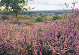 Nationaal Park Veluwezoom