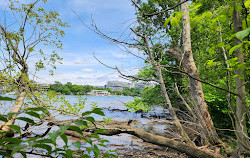 Parque da Ilha Roosevelt