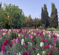 Eram Garden